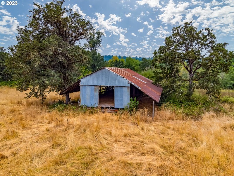 Shed