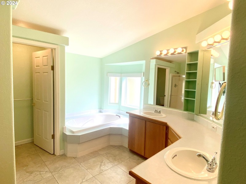 Owner's Suite Bathroom