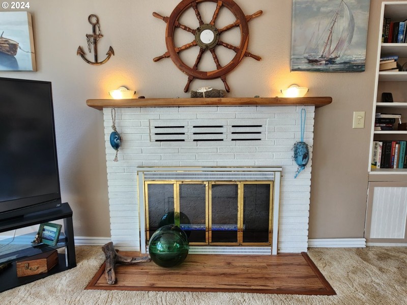 Fireplace Insert