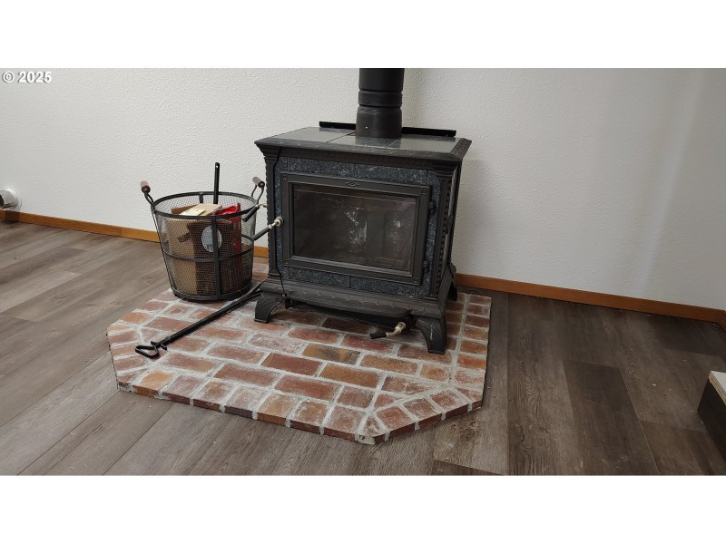 Fireplace Wood Burning Stove/Insert