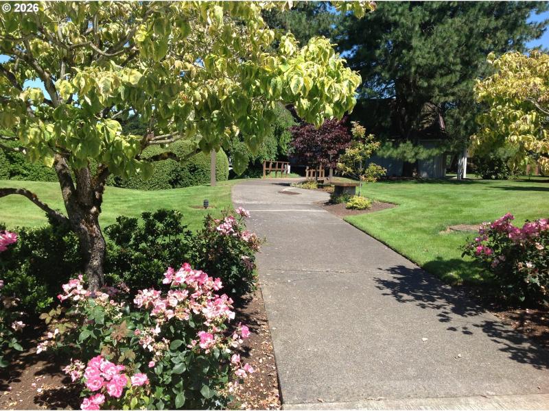 Community Amenities