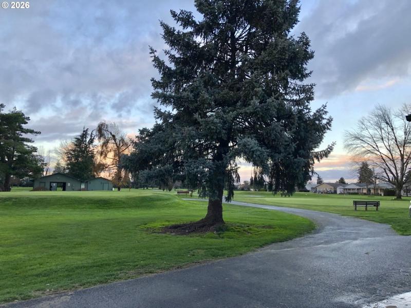 Community Amenities