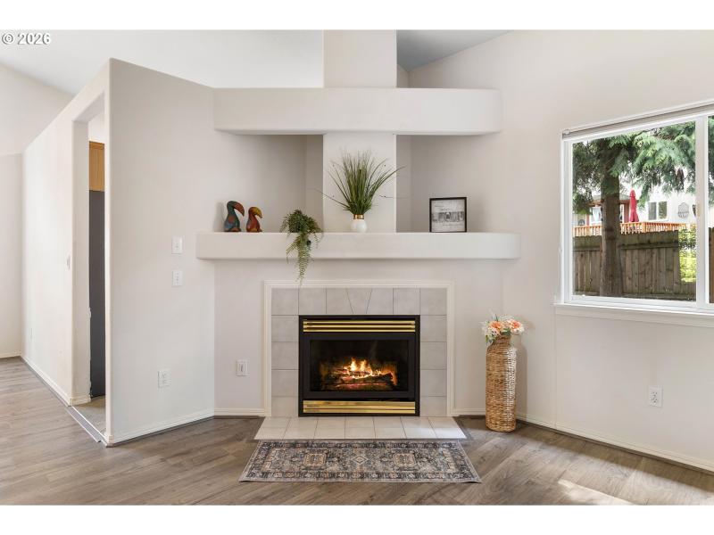 Fireplace Gas