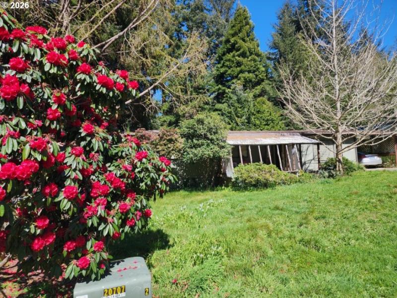 Front Yard