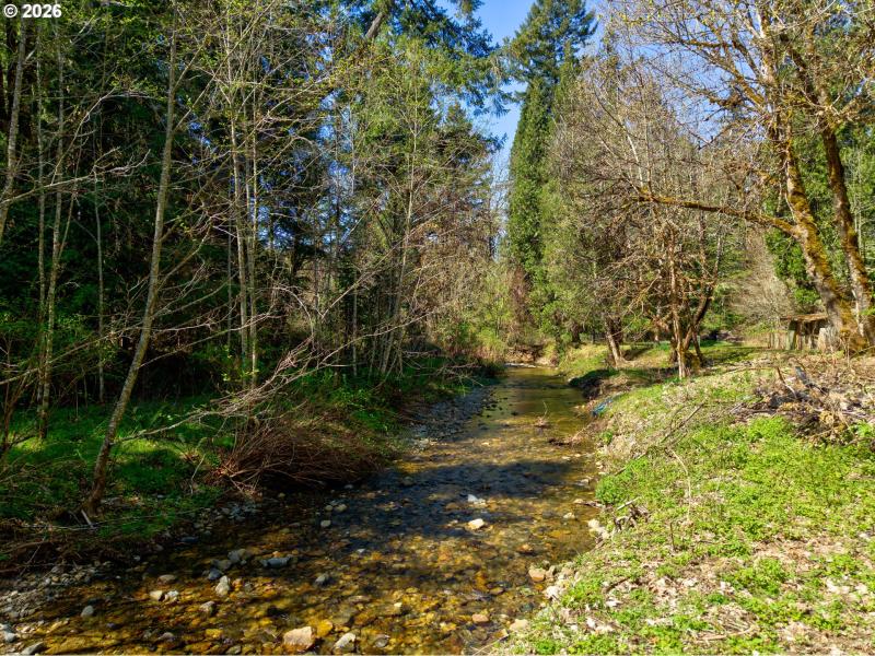 Creek