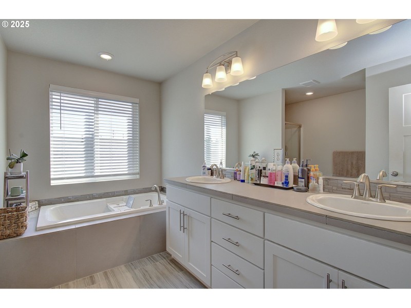 Owner's Suite Bathroom