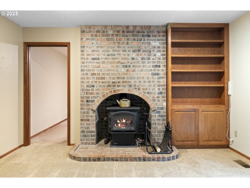 Fireplace Wood Burning Stove/Insert