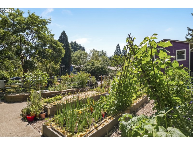 Community Garden