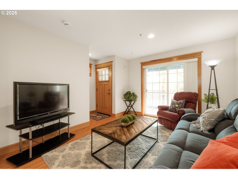 Living Room/Entrance