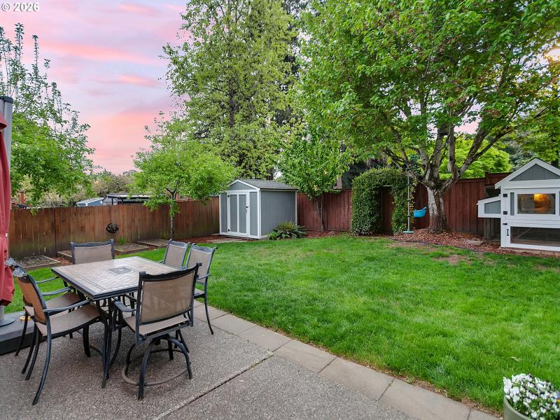 Backyard