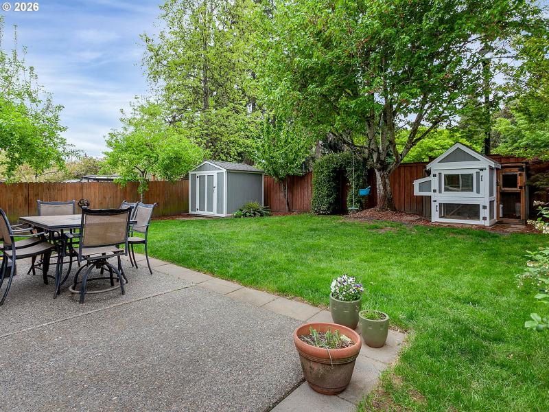 Backyard