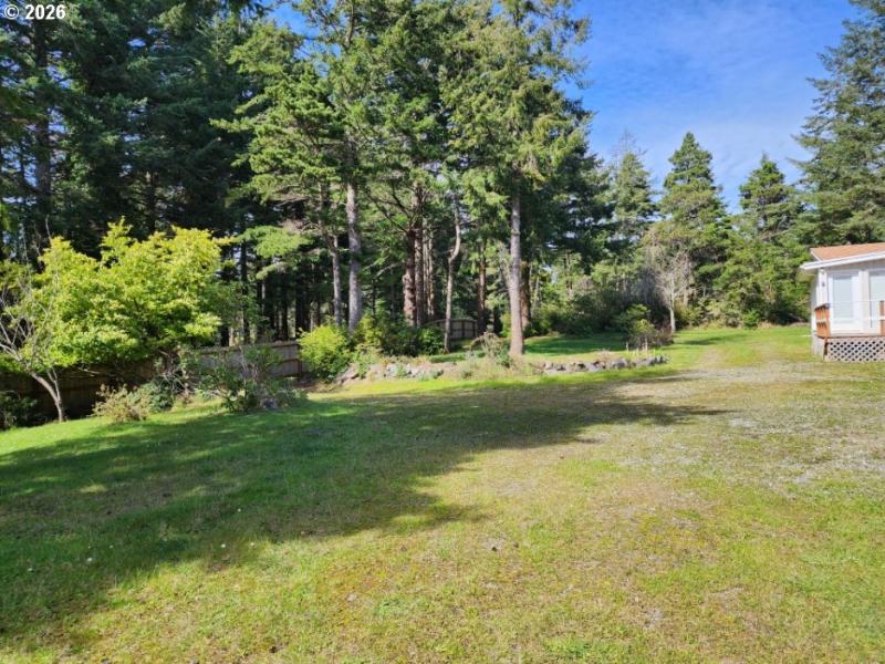 Front Yard