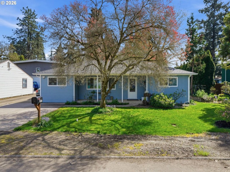 Front Yard
