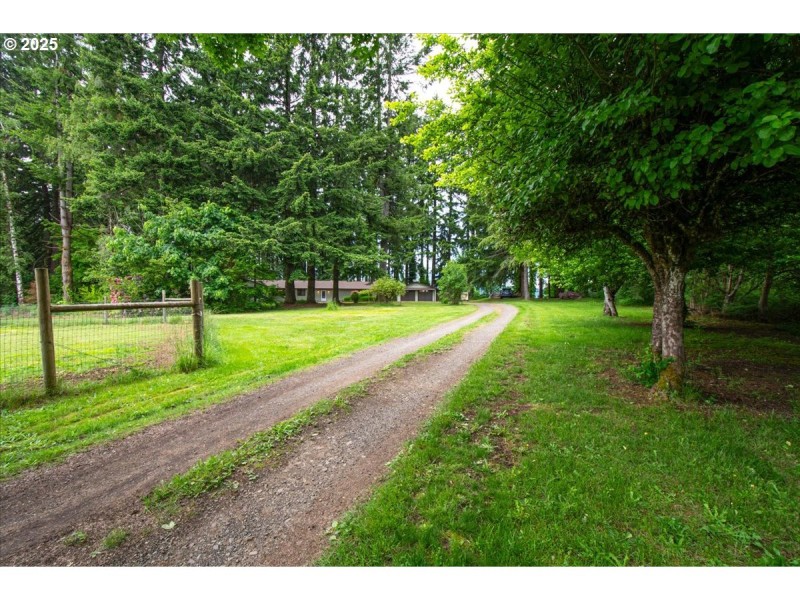 Driveway