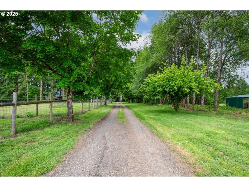 Driveway