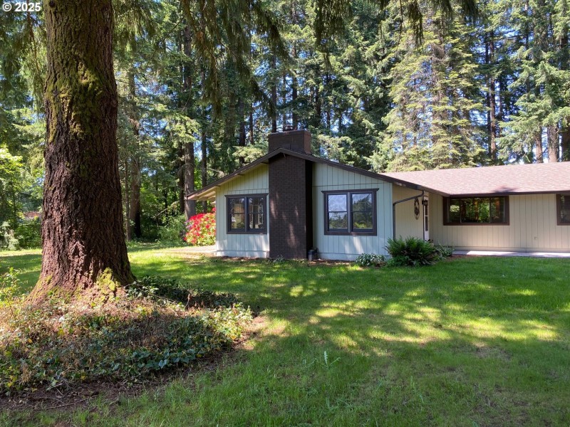 Front Yard