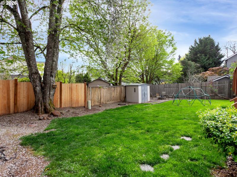 Backyard