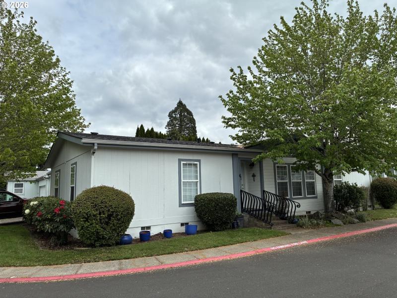 Front Yard