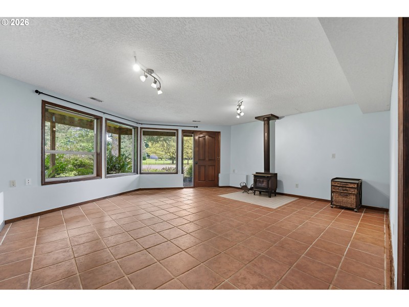 Fireplace Wood Burning Stove/Insert