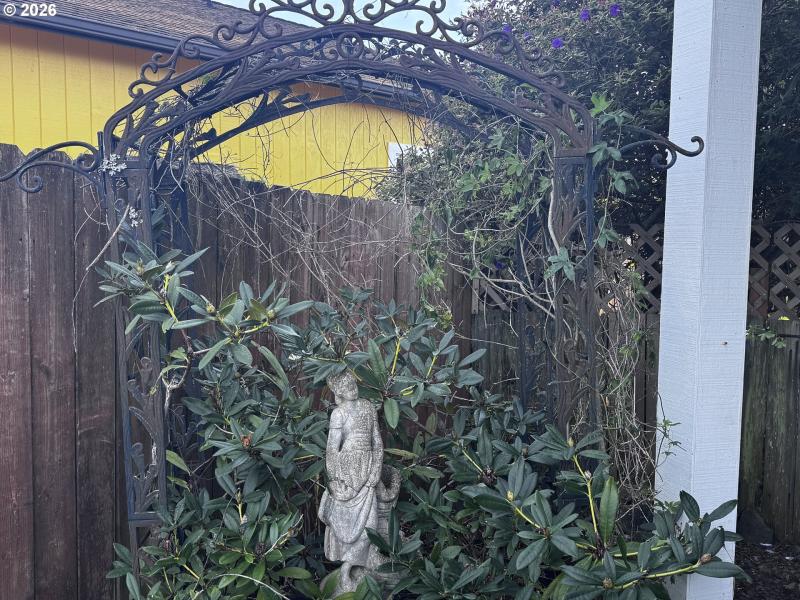 Front Yard