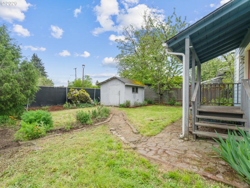 Backyard