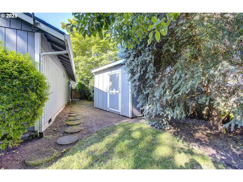 Shed