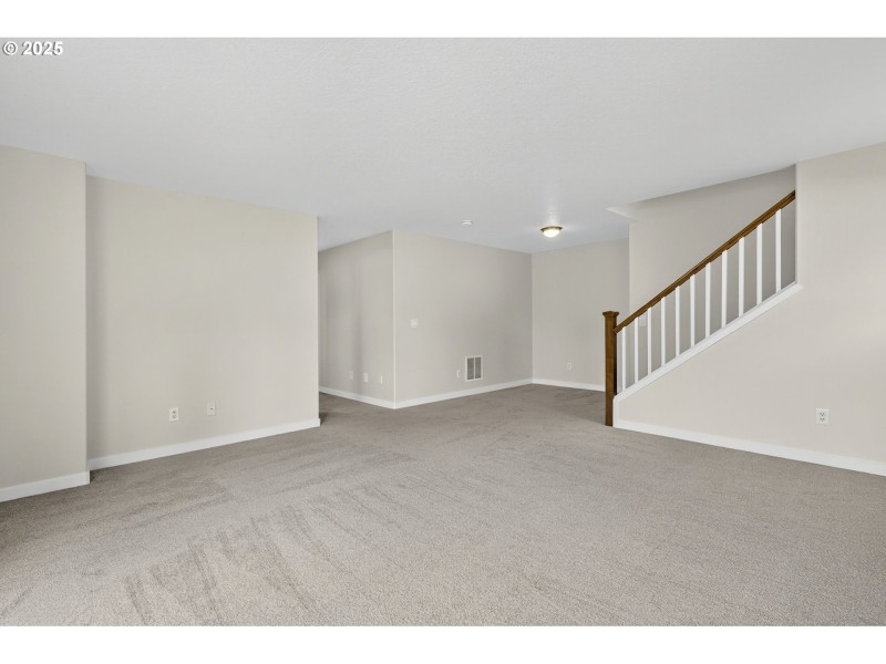 Finished Lower Level