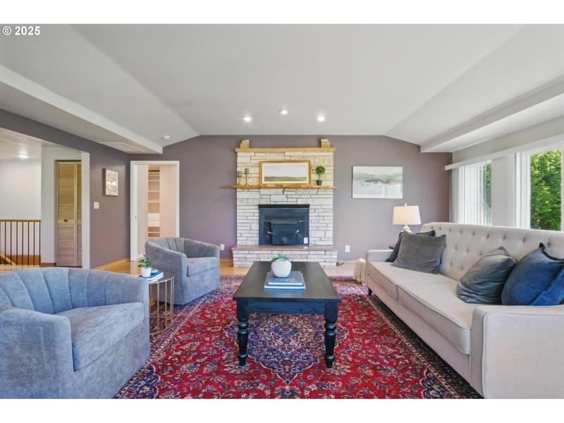 Fireplace Wood Burning Stove/Insert