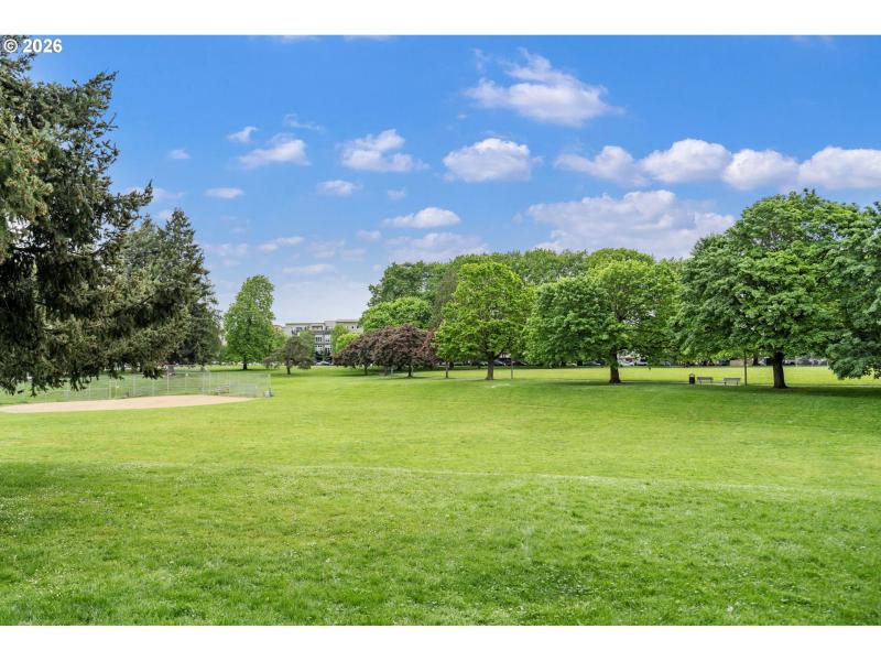 Neighborhood Park