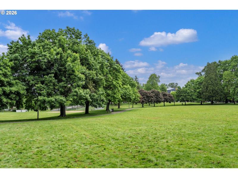 Neighborhood Park