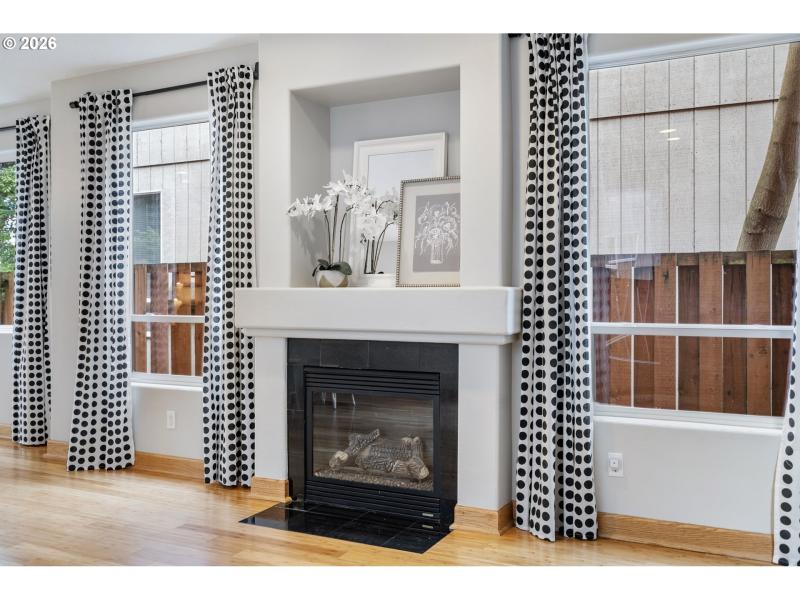 Fireplace Gas
