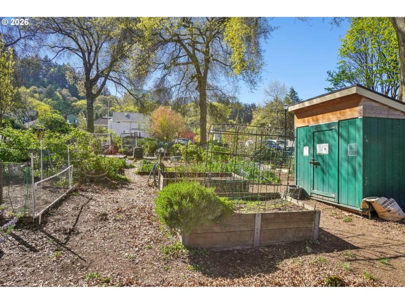Community Garden