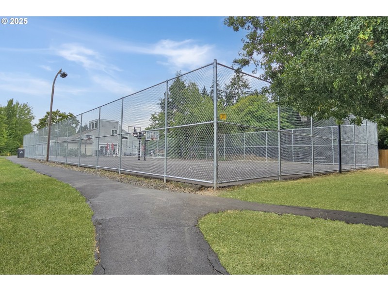 Community Basketball