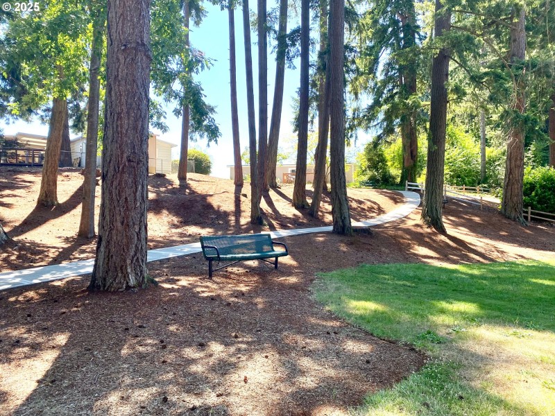 Community Park