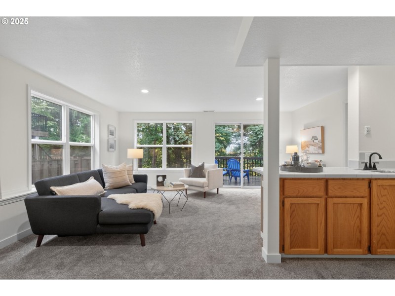 Finished Lower Level