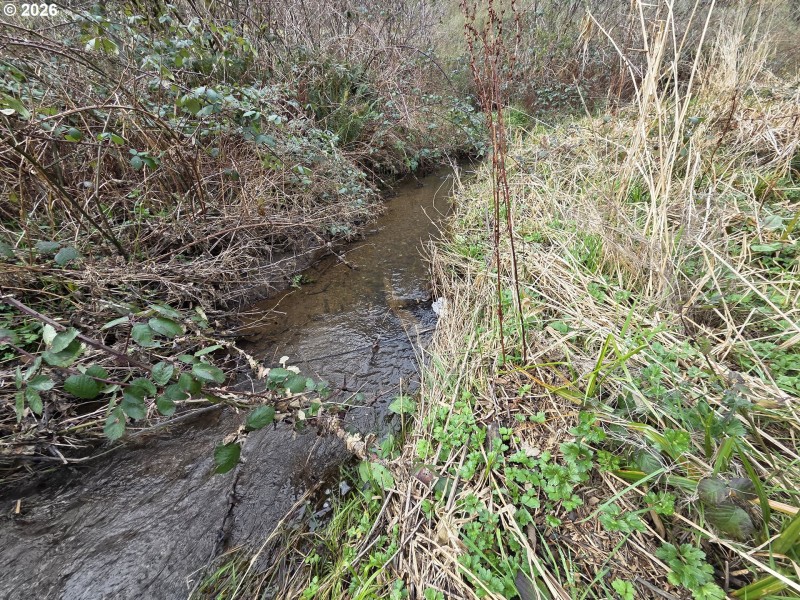 Creek