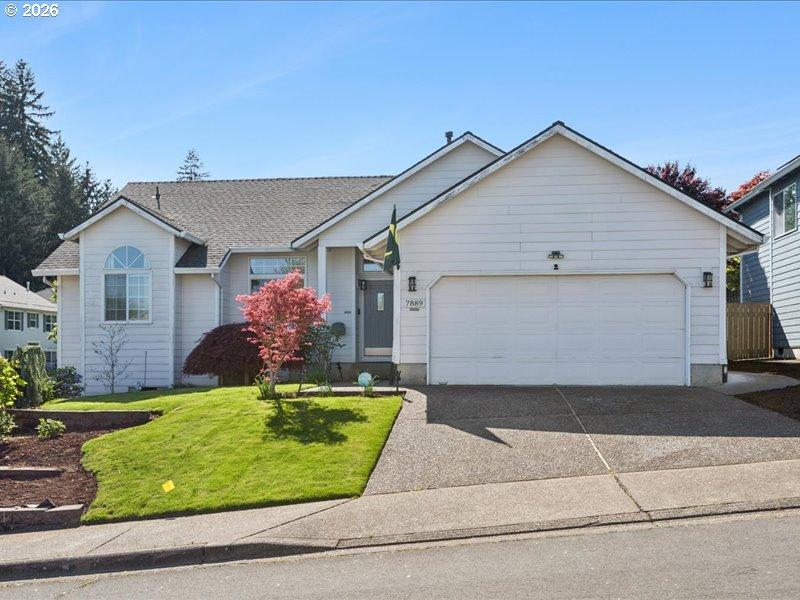 Front Yard