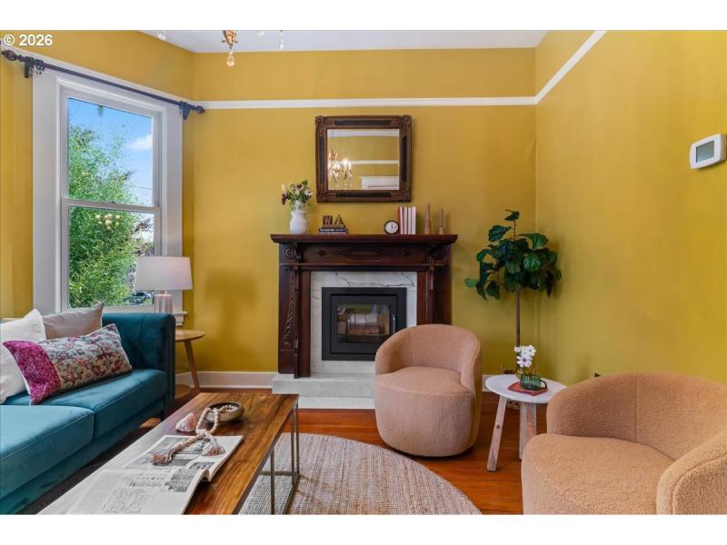 Fireplace Wood Burning Stove/Insert