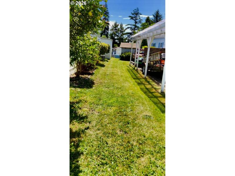 Yard
