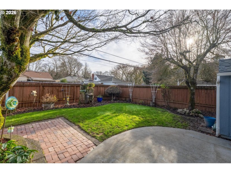 Backyard