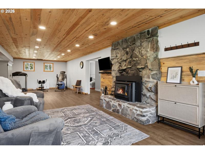Fireplace Insert