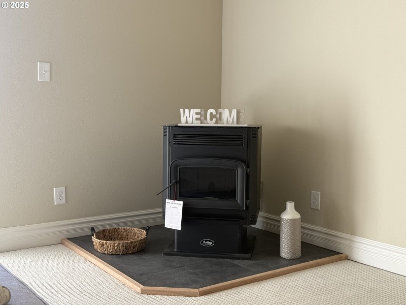 Fireplace Pellet Stove