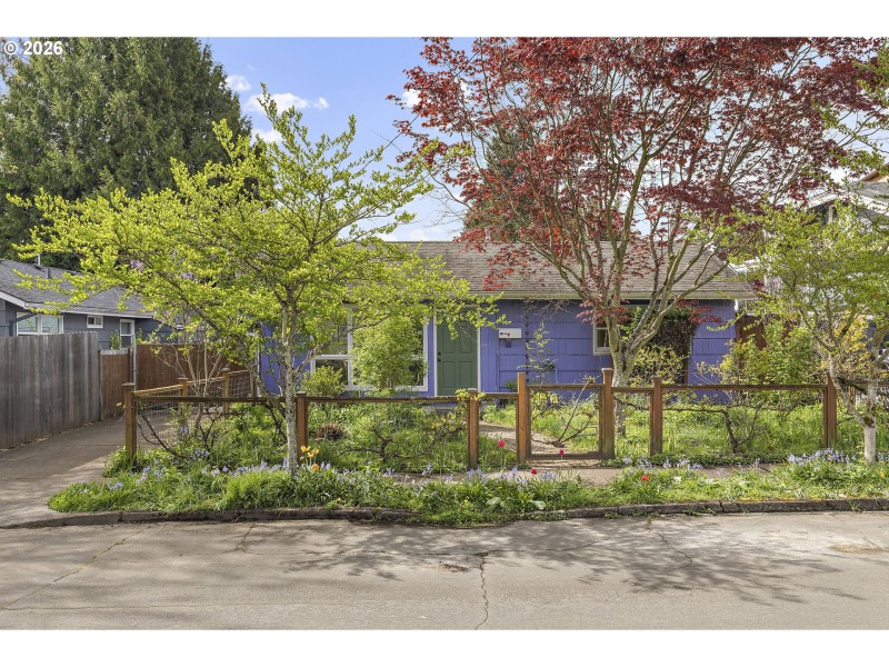 Front Yard