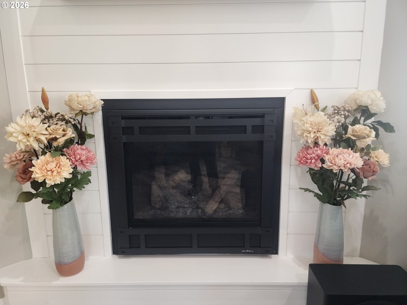 Fireplace Gas
