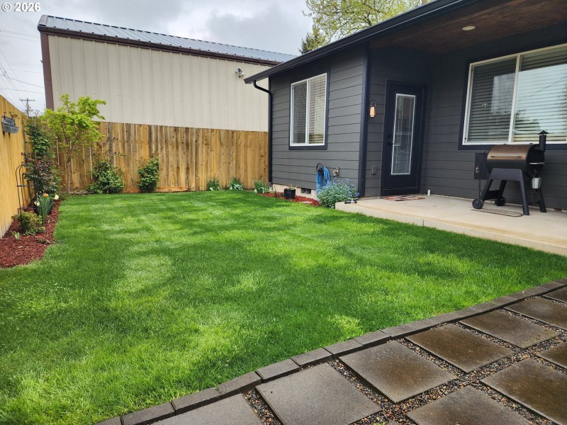 Backyard