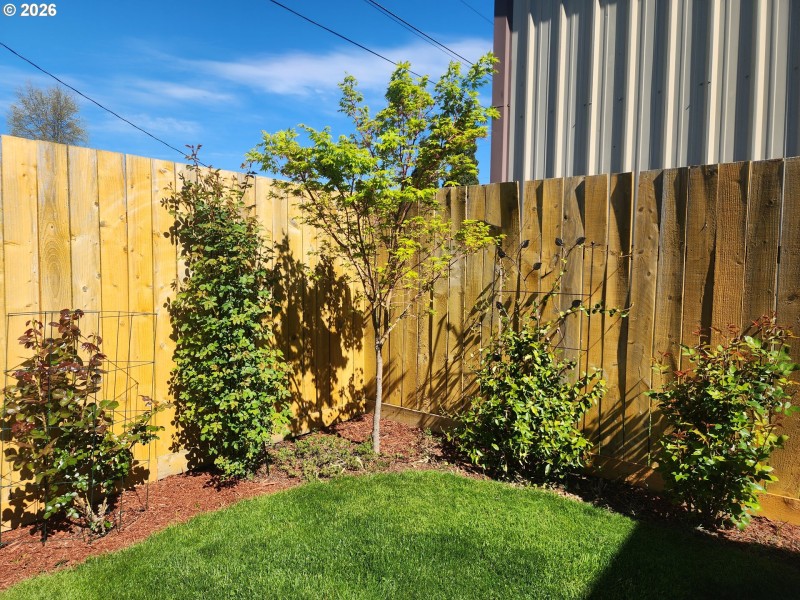 Yard