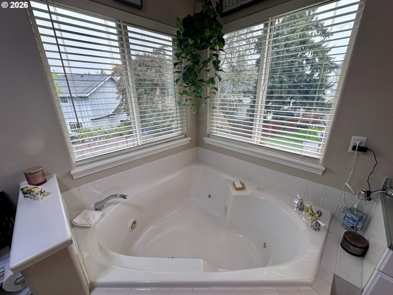 Owner's Suite Bathroom