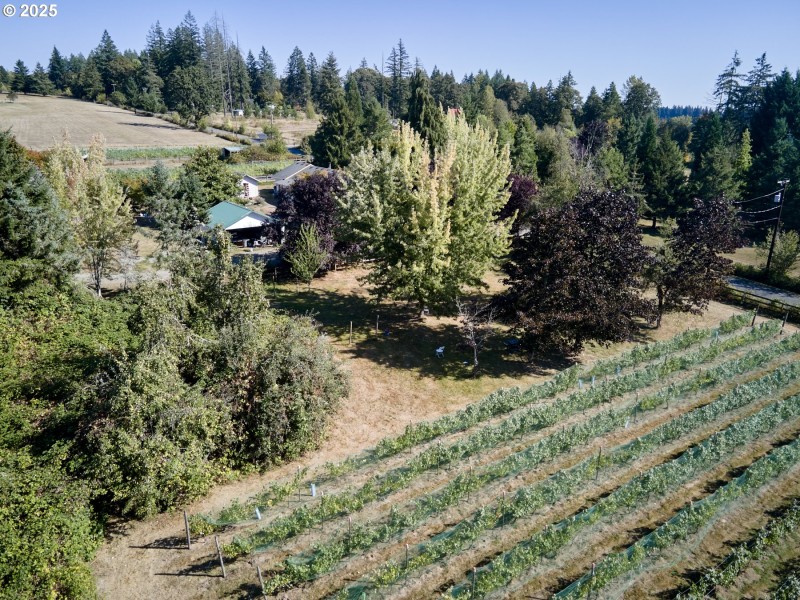 Acreage