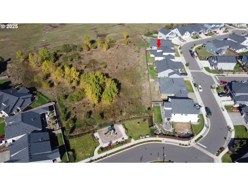 Community Playground