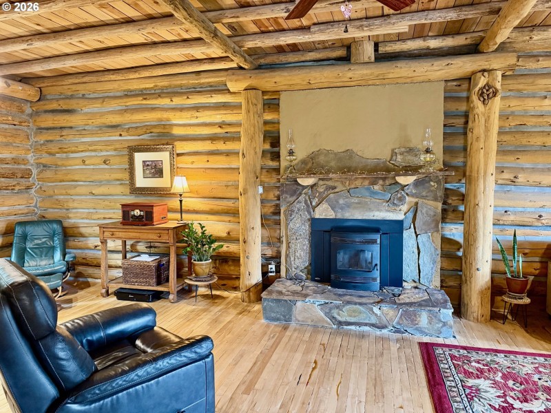 Fireplace Pellet Stove